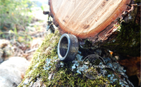 Morgan Dollar Coin Ring (Tails side out)