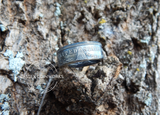 Morgan Dollar Coin Ring (Tails side out)