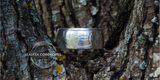 2025 Silver Eagle Coin Ring