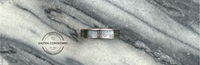 US State Quarter Ring
